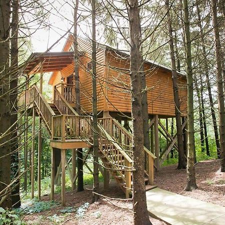 Whispering Pines Treehouse By Amish Country Lodging Millersburg Eksteriør billede