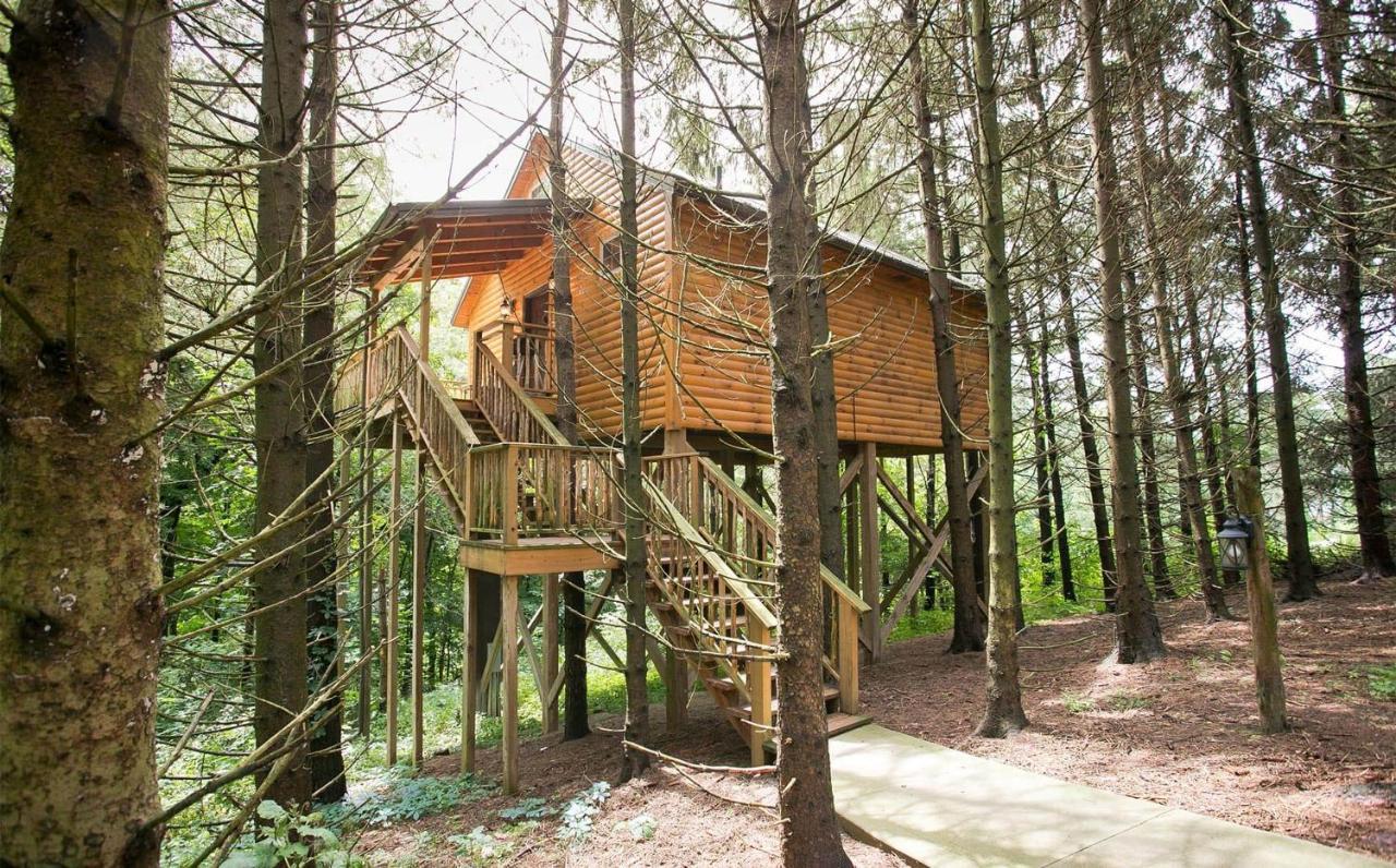 Whispering Pines Treehouse By Amish Country Lodging Millersburg Eksteriør billede